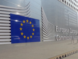 მწვანე მწვანე