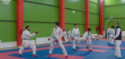 სპორტული კარატე