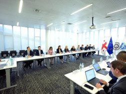 ნათია თურნავა საერთაშორისო სავალუტო ფონდის მისიას შეხვდა