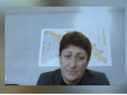 ნონა ყაულაშვილი