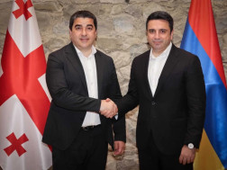 შალვა პაპუაშვილი 