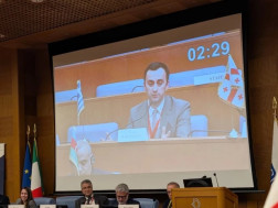 ლევან მახაშვილი