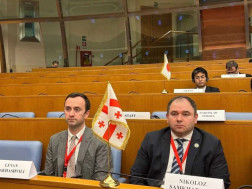 საქართველოს დელეგაცია