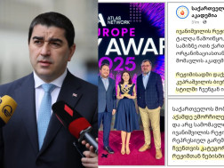 შალვა პაპუაშვილი