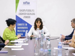 გარემოს დაცვისა და ბუნებრივი რესურსების კომიტეტმა ფოთში გასვლითი სხდომა გამართა