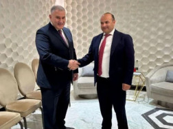 მიხეილ სარჯველაძე სომხეთის შრომისა და სოციალური საკითხების მინისტრს შეხვდა