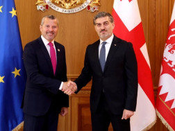 მიხეილ ყაველაშვილი 