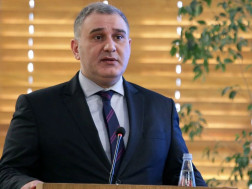 მიხეილ სარჯველაძე: