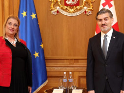 მიხეილ ყაველაშვილი 