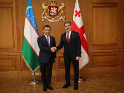  მიხეილ ყაველაშვილი