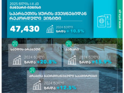 საერთაშორისო ვიზიტორ