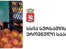სურსათის ეროვნული სააგენტო 