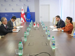 მარიამ ქვრივიშვილი იაპონიის ელჩს საქართველოში იშიძუკა ჰიდეკის შეხვდა