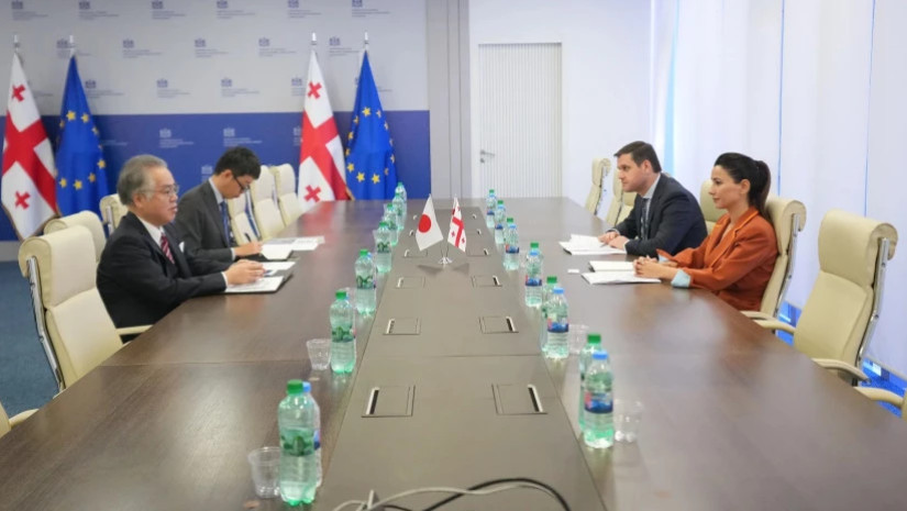 მარიამ ქვრივიშვილი იაპონიის ელჩს საქართველოში იშიძუკა ჰიდეკის შეხვდა მარიამ ქვრივიშვილი იაპონიის ელჩს საქართველოში იშიძუკა ჰიდეკის შეხვდა