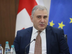  მიხეილ სარჯველაძე