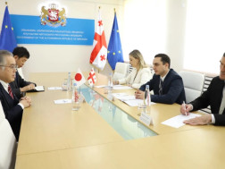 გიორგი ჯინჭარაძე იაპონიის საგანგებო და სრულუფლებიან ელჩს შეხვდა