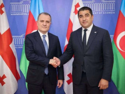 შალვა პაპუაშვილი