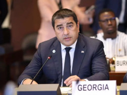შალვა პაპუაშვილი