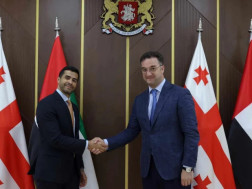 დავით სონღულაშვილი 
