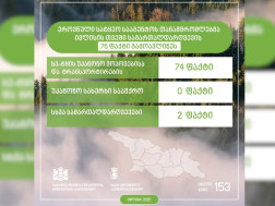 ეროვნული სატყეო 