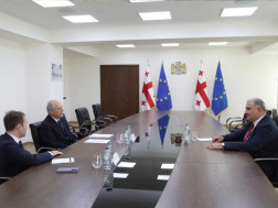 მიხეილ სარჯველაძე