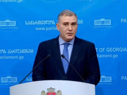 მიხეილ სარჯველაძე