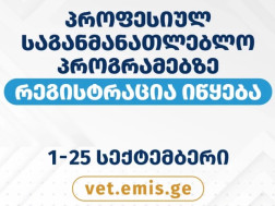 პროფესიულ საგანმანათლებლო