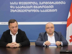 დავით კაიკაციშვილი 