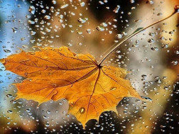 ამინდი, შემოდგომა, წვიმა