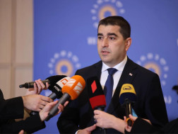 შალვა პაპუაშვილი