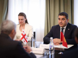 შალვა პაპუაშვილი