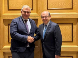 მიხეილ სარჯველაძე 