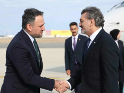 მიხეილ ყაველაშვილი