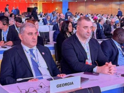 მიხეილ სარჯველაძე