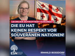 ევროპარლამენტარი, AFD-ის წევრი ირმჰილდ ბოსფორდი ევროპარლამენტარი, AFD-ის წევრი ირმჰილდ ბოსფორდი