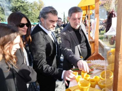 მიხეილ ყაველაშვილი მიხეილ ყაველაშვილი