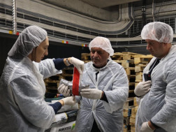 სურსათის ეროვნული სააგენტო სურსათის ეროვნული სააგენტო