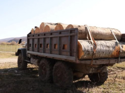 სატყეო სამსახური