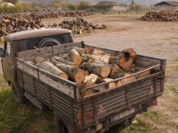  ხე-ტყის უკანონო მოპოვება