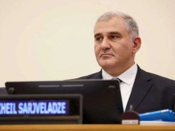 მიხეილ სარჯველაძე მიხეილ სარჯველაძე