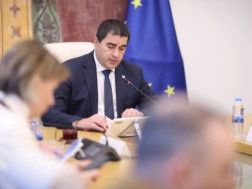 შალვა პაპუაშვილი შალვა პაპუაშვილი