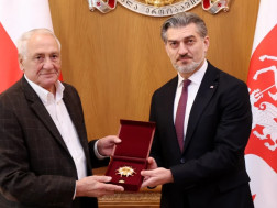 მიხეილ ყაველაშვილ