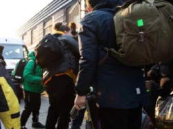 ტოლვილი 