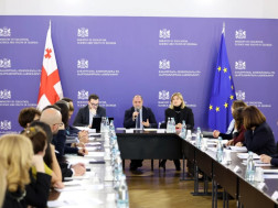 ინკლუზიური განვითარების საკოორდინაციო საბჭო