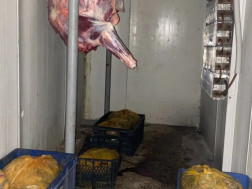  არალეგალური სასაკლაოები 