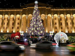 მთავარი ნაძვის ხე მთავარი ნაძვის ხე