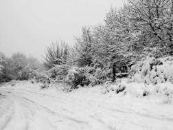 საირმე-აბასთუმნი საირმე-აბასთუმნი