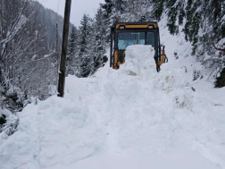 თოვლი თოვლი