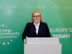 ინგა ფხალაძე ინგა ფხალაძე