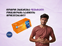 ფესტალი ფესტალი